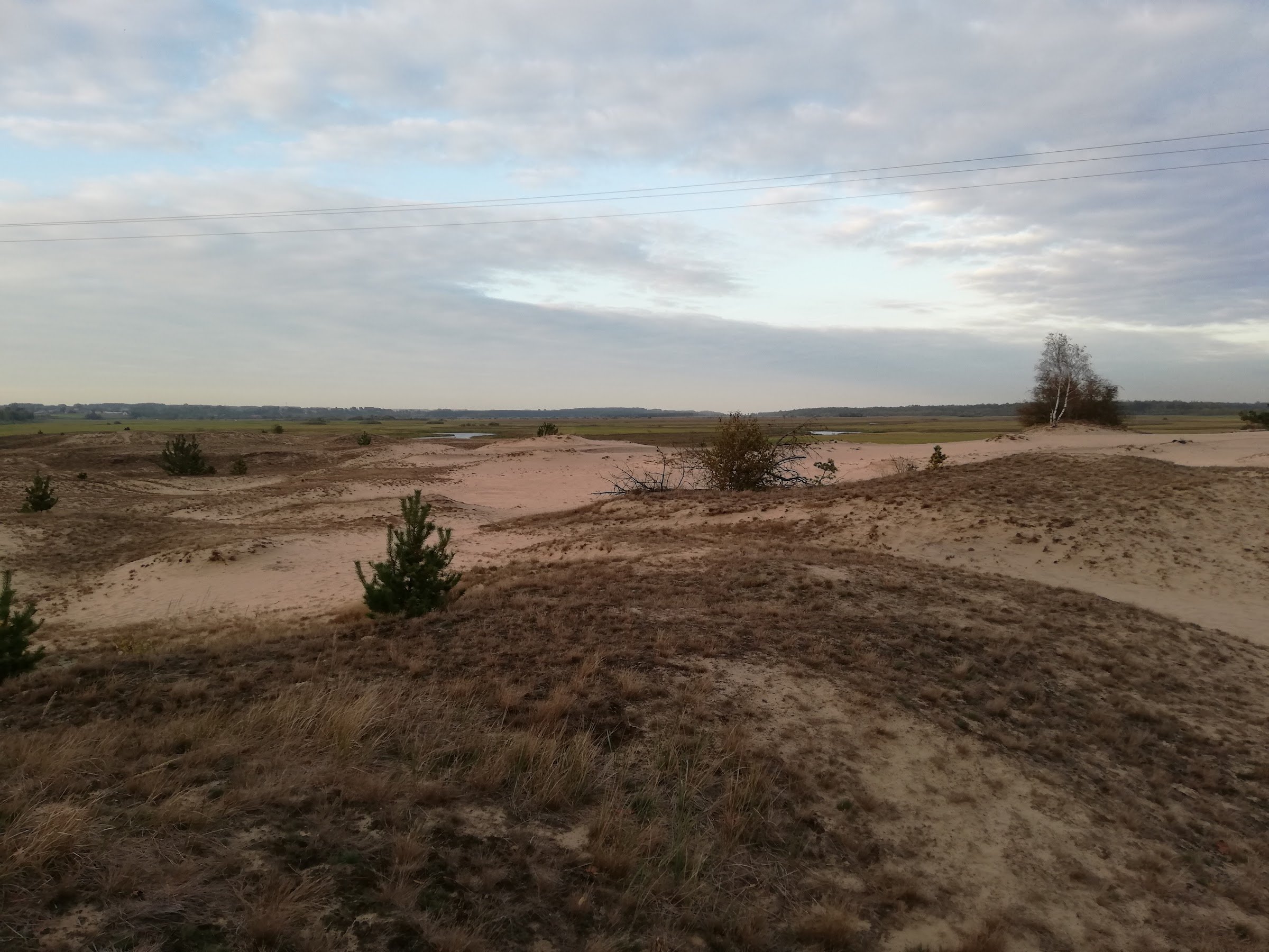 Osada wydmowa (Grądy Woniecko)